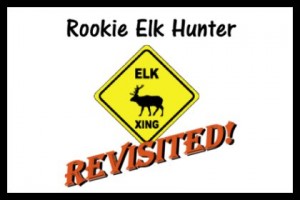 Feature - Rookie Revisited