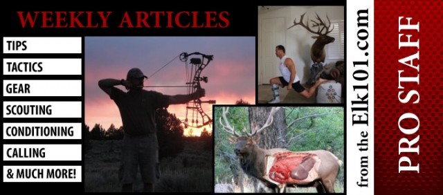Read Recent Elk Hunting Articles! Click Here!