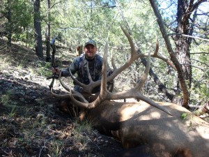 Wade's GREAT NM Bull!