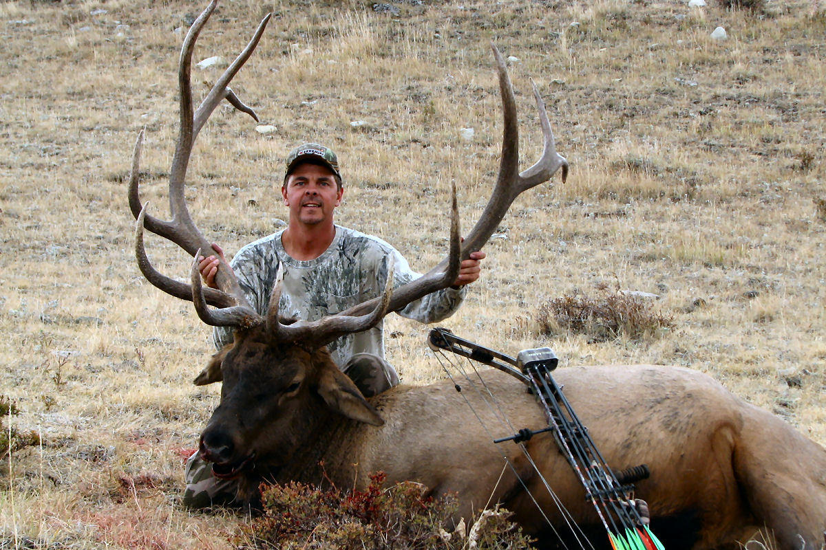 Hunting Open Country Elk 