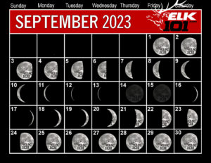 Which Week to Hunt Elk in 2023? | Elk101.com | Eat. Sleep. HUNT ELK!